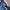 Vintage Harrington jacket Pria blue photo 2