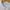 Topten Casual Formal shirt Pria white photo 3