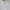 MUSINSA STANDARD Casual Formal Shirt Pria White