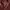 Y2K Grunge Parka Pria red photo 6
