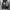 Oakley Futurist Bag Pria black photo 4