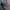 Dickies Streetwear Formal pants Pria navy photo 3