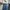 Dickies Vintage Y2K Jeans Pria blue photo 2
