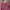 Cotton On Casual Shirt dress Wanita multicolor photo 3