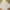 Love Bonito Casual Cami top Wanita multicolor photo 1