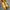 Christian Louboutin Luxury Heels Wanita yellow photo 1