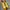 Christian Louboutin Luxury Heels Wanita Yellow