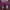 Casual Sneakers Kids purple pink photo 1