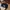 New Era Streetwear Sportswear Hat Wanita white black photo 1