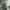 Carhartt Vintage Y2K Dungaree Pria tan cream photo 6