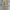Carhartt Vintage Y2K Dungaree Pria tan cream photo 2