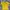 Nike Streetwear Casual Jersey Pria Yellow