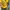 Nike Streetwear Casual Jersey Pria yellow photo 6