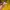 Nike Streetwear Casual Jersey Pria yellow photo 5