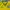 Nike Streetwear Casual Jersey Pria yellow photo 3