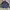 Mizuno Y2K Gorpcore Windbreaker Pria Navy