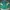 Vintage Sportswear Jersey Pria green yellow photo 2