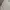 Japanese brand Fairy Coquette Summer dress Wanita white cream photo 2