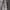 Calvin Klein Luxury Suit Pria silver black photo 5