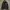 The North Face Gorpcore Futurist Leather jacket Pria black photo 3