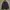 The North Face Gorpcore Futurist Leather jacket Pria black photo 4