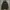 The North Face Gorpcore Futurist Leather jacket Pria black photo 1