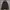 The North Face Gorpcore Futurist Leather Jacket Pria Black