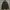 The North Face Gorpcore Futurist Leather jacket Pria black photo 2