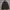 The North Face Gorpcore Futurist Leather Jacket Pria Black