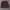 Burberry Luxury Casual Cardigan Wanita brown photo 5