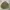 Stussy Vintage Streetwear Parka Pria Khaki