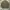 Stussy Vintage Streetwear Parka Pria khaki photo 2