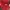 VANS Skater Hat Pria red photo 1