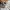 The Hundreds Streetwear Sweater Pria gray photo 5