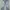 Vintage Minimalist Wanita white blue photo 1