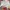Dolce & Gabbana Luxury Casual Wanita multicolor photo 5