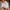 Dolce & Gabbana Luxury Casual Wanita multicolor photo 3