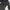 Luxury Minimalist Bodycon dress Wanita black photo 6