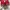 Puma Sportswear Casual Sneakers Pria red photo 2
