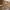 Y2K Minimalist Jumpsuit Wanita tan brown photo 3