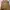 Y2K Minimalist Jumpsuit Wanita tan brown photo 1