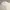 Guess Minimalist Polo shirt Pria white photo 1