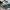 Adidas Streetwear Casual Casual Shoe Pria Silver Green