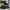 Adidas Vintage Casual Casual shoe Pria brown black photo 1