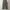 Uniqlo Minimalist Casual Formal pants Pria green photo 1