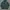 thisisneverthat Streetwear Sportswear Hoody Pria green photo 1