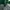 thisisneverthat Streetwear Sportswear Hoody Pria green photo 5