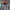Adidas Streetwear Bomber jacket Pria multicolor photo 5