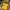 Japanese brand Grunge Biker T-shirt Pria yellow photo 1