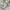 Lolita Casual Heels Wanita white photo 1
